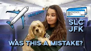 Flying Delta Airlines with a dog in cabin Vlog (2021 pet rule update)