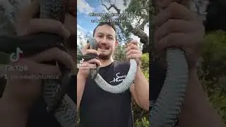 the snake hunter as a teenager
