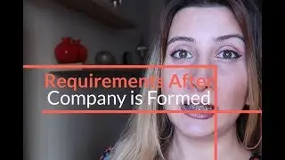 Requirements after Company Formation in Georgia | What do accountants in Georgia do?