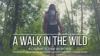 Bald Hill Riding Mountain National Park Manitoba Canada | A Walk in the Wild Cinematic Film