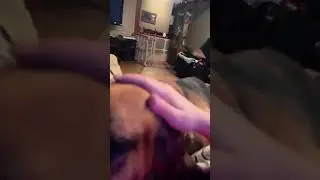 #puppy #dog #cute #cutedog #pets #funny #cuteanimals #smoothbrain #fypシ