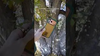 OtterBox x Topo Designs Collaboration