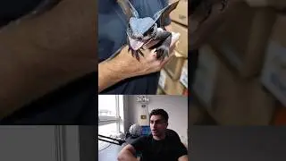 Новые животные, обнаруженные в 2024 году #2 🤔