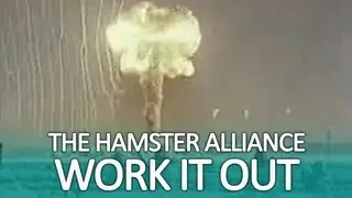 Work It Out (Hamster Alliance)