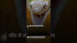 secret of snake bite #viral #viralvideo #india #video #viralshorts #viralshort
