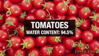 Top 10 Hyderating Foods