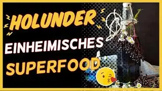 Holunder &ndash; einheimisches Superfood nicht nur gegen Erk&auml;ltungen