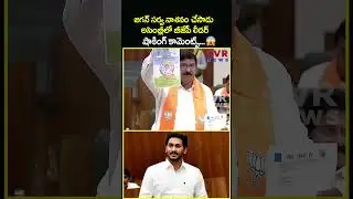 జగన్ సర్వ నాశనం చేసాడు అసెంబ్లీలో బీజేపీ లీడర్ షాకింగ్ కామెంట్స్ | BJP Leader Comments | CVR News