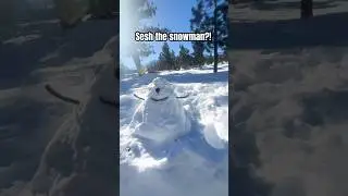 Snowman sesh ? #snowboarding #fingerboarding #techdeck