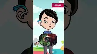 Did you know? Lemur Edition