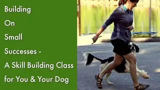 Off-Leash Training by Rewarded Behavior Continues