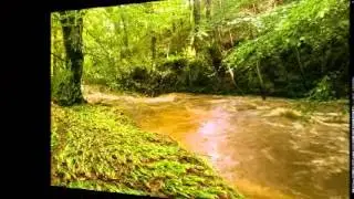 Tassagh River