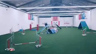 Kleinspitz im Agility Training Z&uuml;chterin Cinnamon Lee Hooper