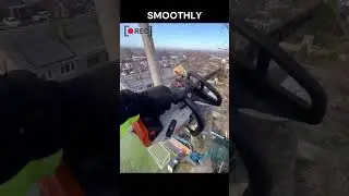 Ingenious Tree Cutting Technique You Have to See