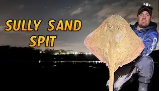 Sully Sand Spit BLONDE RAYS