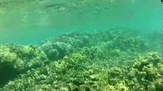 k-GOPR0365-exploring-milemarker14.MP4
