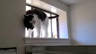 Welcome to the bathroom!