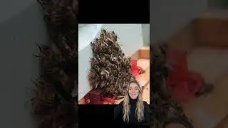 Why do bees make honey?