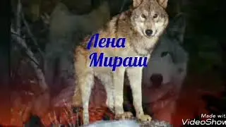 Моя друзья из ВО 2 часть.