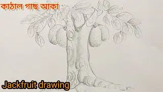 How to draw jackfruit 🌲tree/jackfruit 🌱plant drawing/juicy fruit tree/কাঠাল গাছ আকা সহজে/কাঠাল গাছ