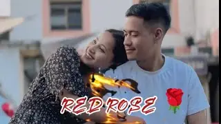 RED ROSE || trailer || release on 15 November 2025 || on youtube channel @boitmaram
