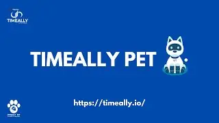 TimeAlly Personal Era Swap Teller (PET) | Salient Features | All You Need To Know