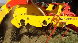 GP300 Reseeding Fescue SE PA 1 APVUS