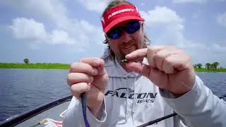 Lures that Catch BIG Bass in Florida