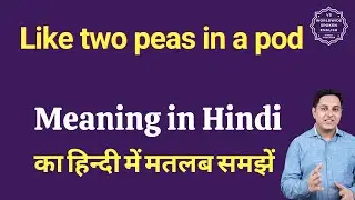 Like two peas in a pod meaning in Hindi | Like two peas in a pod ka matlab kya hota hai | Spoken Eng