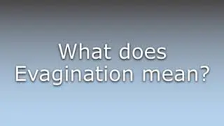 What does Evagination mean?