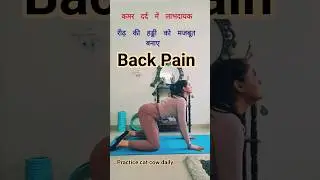 Back pain relief, spine flexibility, stretches the back #viral #yoga #backpain #painrelief #ytshorts