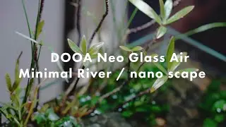 DOOA Neo Glass Air / Minimal nano scape