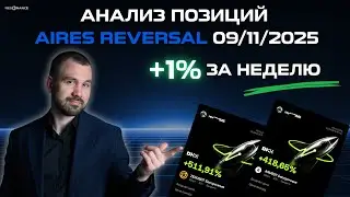 +1% за неделю. Анализ позиций Aires Reversal 09/11/2025