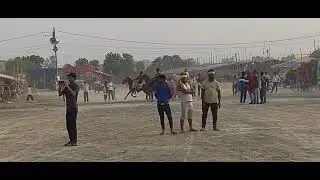 Ghoda ka race ka video 🐎#trending #long #video 