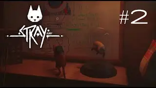 ЧТО СКРЫВАЕТСЯ В ТАЙНОЙ КОМНАТЕ?! ► Stray #2