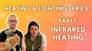 Project: Herpetoculture - Webinar: Heating & Lighting, Part 1: Infrared Heating