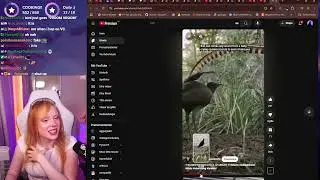 #divvity на #Twitch | 222