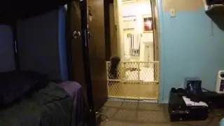 Terrorist Kitten jumps Border Wall, 945 N Jefferson Ave, Ajo, Arizona, GOPR0139