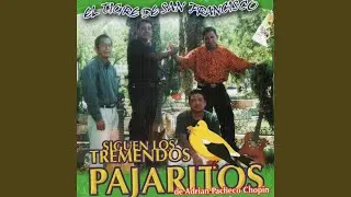 Corrido De Chayo Valencia