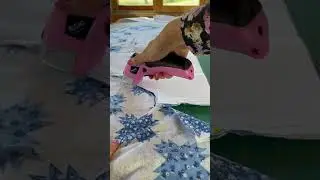 Fast & Smooth Fabric Cutting with VLOXO Electric Scissors #shorts