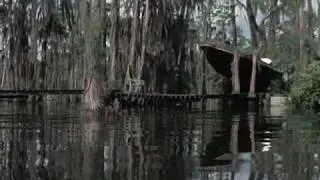 Gator: Boat Stunt