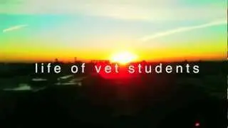 Life of Vet Students Episode 1 - Introduction