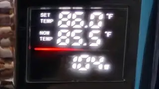 FEDOUR 600w Titanium Aquarium Heater.  Review. 