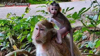 Video Summary Clip!, In Loving Memory of Baby Braxton 🌸,@monkeynaturekh