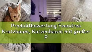 Produktbewertung Feandrea Kratzbaum, Katzenbaum mit gro&szlig;er Plattform, hellgrau PCT51W