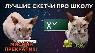 ЛУЧШИЕ СКЕТЧИ ПРО ШКОЛУ