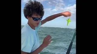 How to Spanish Mackerel fish