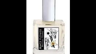 Dame Perfumery Black Mexican Vanilla