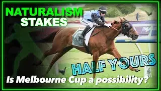 2025 Naturalism Stakes | Half Yours, Statuary, Brayden Star