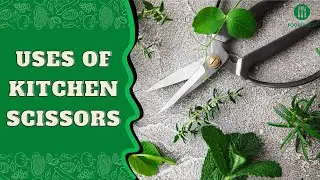 How to Use Kitchen Scissors